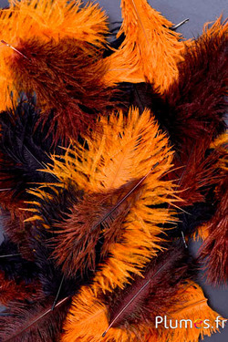 Struzzo barbules - 8-15 cm - rosso